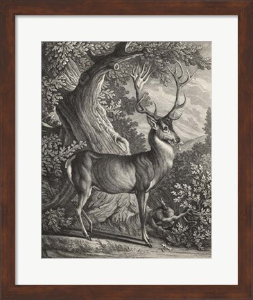 Framed Woodland Deer I Print