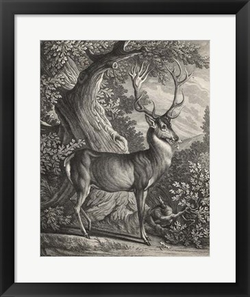 Framed Woodland Deer I Print