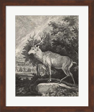 Framed Woodland Deer II Print