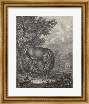 Framed Woodland Deer IV Print