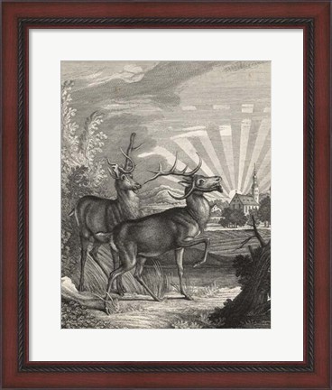 Framed Woodland Deer V Print