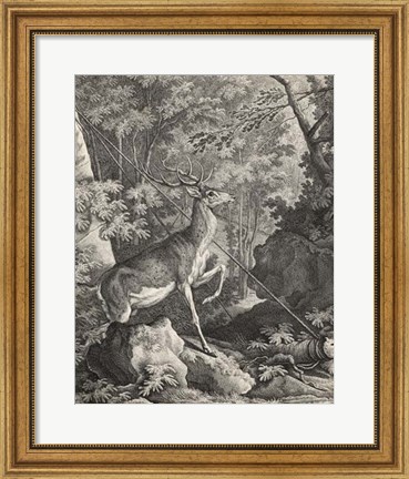 Framed Woodland Deer VII Print