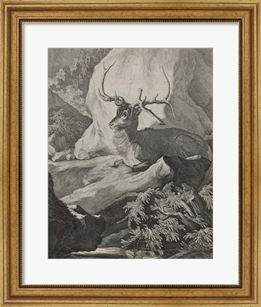 Framed Woodland Deer VIII Print