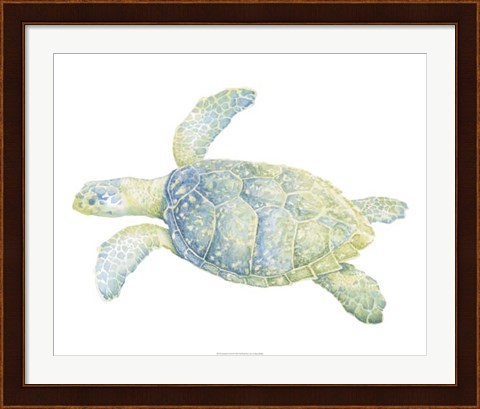 Framed Tranquil Sea Turtle II Print