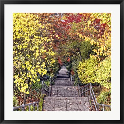 Framed Autumn Tunnel Print