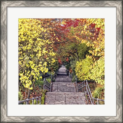 Framed Autumn Tunnel Print