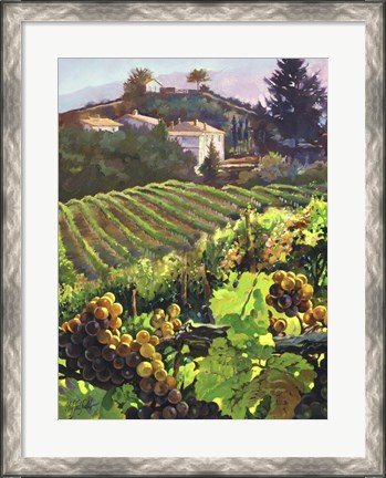 Framed Siena Harvest Print