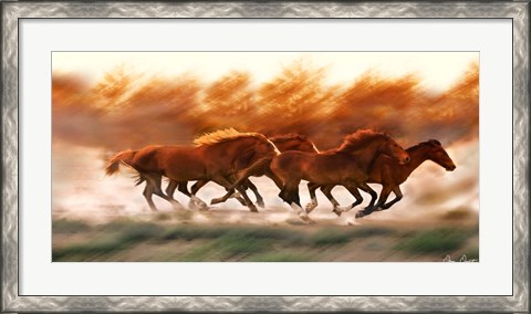 Framed Blazing Herd II Print