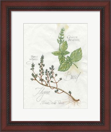 Framed Basil &amp; Thyme Print