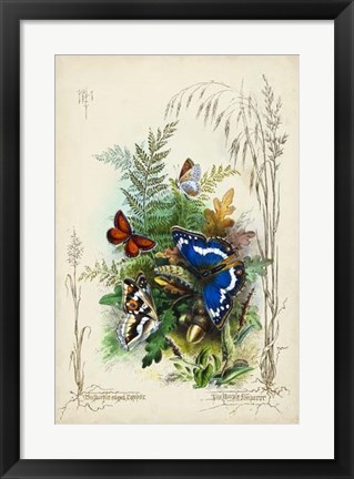 Framed Victorian Butterfly Garden III Print