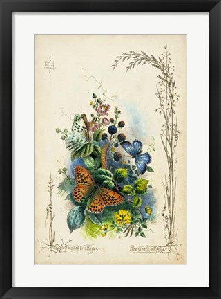 Framed Victorian Butterfly Garden VII Print