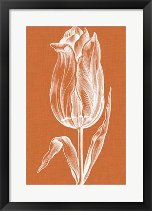 Framed Chromatic Tulips III Print