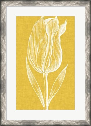 Framed Chromatic Tulips IV Print