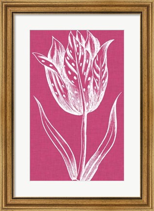 Framed Chromatic Tulips V Print