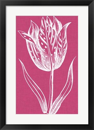 Framed Chromatic Tulips V Print