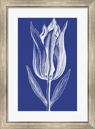 Framed Chromatic Tulips VII Print