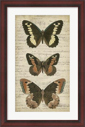 Framed Butterfly Script I Print