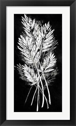Framed Palm Leaf Fresco II Print