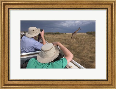 Framed Rear view of two safari photographers filming a giraffe Print