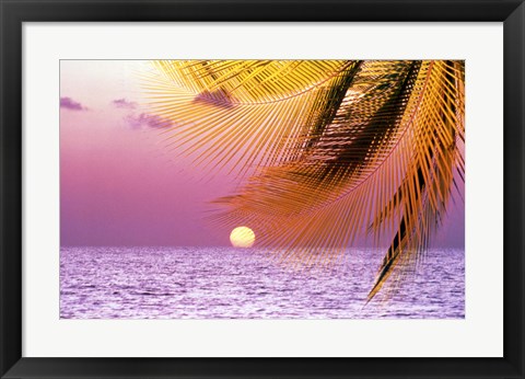 Framed Stylized tropical scene with violet sea, pink sky, setting sun and palm fronds Print