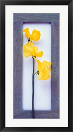 Framed Rectangular purple frame with yellow flowers on green stems in center on pink background Print