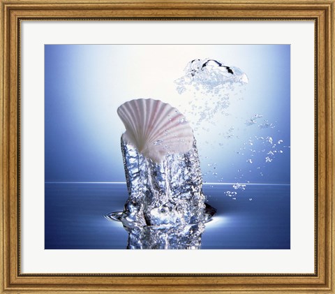 Framed White scallop shell being raised on pillar of bubbling water Print