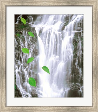 Framed Green leaves cascading in front of waterfall Print