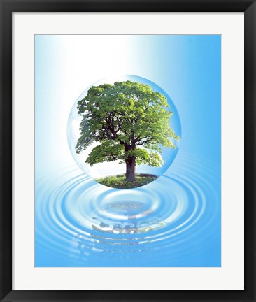 Framed clear sphere with a full tree floats over a large water ring with reflection Print