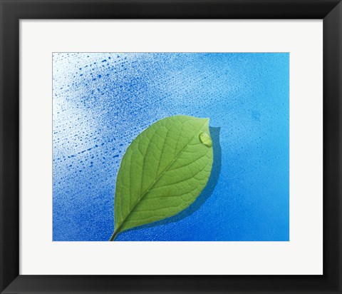 Framed Green leaf floating above streaked water drops Print