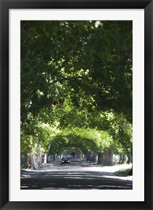 Framed Car on a country road, Lujan De Cuyo, Mendoza Province, Argentina Print