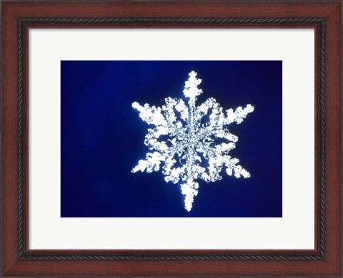 Framed Snowflake 1 Print