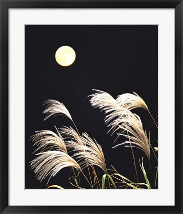 Framed Close Up View of Foxtail Grass with Full Moon in Background Print