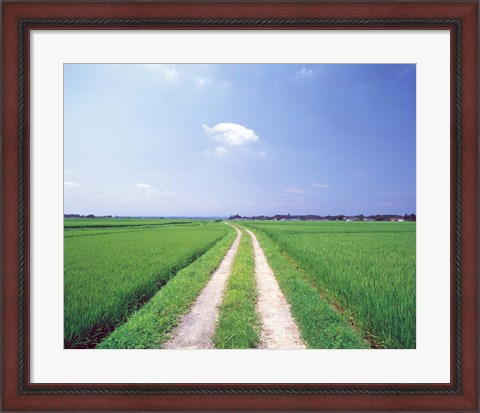 Framed Rural road between crop fields Print