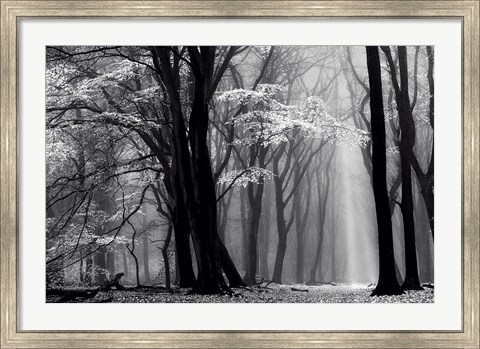 Framed Winter is Coming Print
