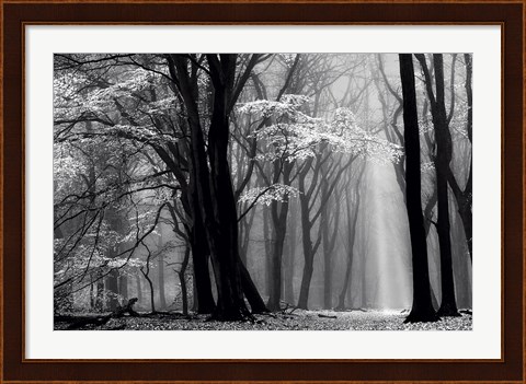 Framed Winter is Coming Print