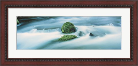 Framed Oirase River Aomori Japan Print