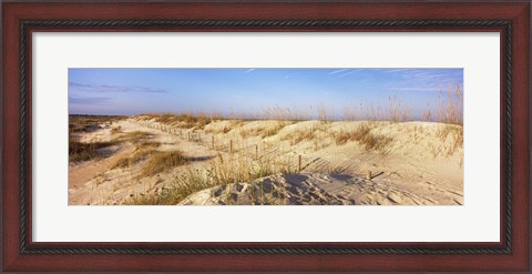 Framed Sand dunes on the beach, Anastasia State Recreation Area, St. Augustine, St. Johns County, Florida, USA Print