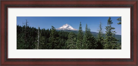 Framed Trees in a forest with mountain in the background, Mt Hood National Forest, Hood River County, Oregon, USA Print