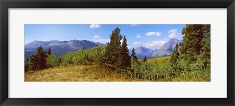 Framed Trees with mountains in the background, Looking Glass, US Glacier National Park, Montana, USA Print