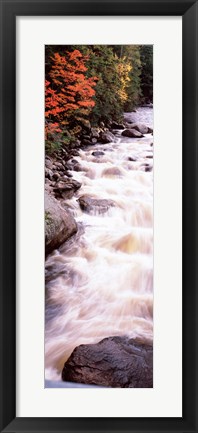 Framed River flowing through a forest, Ausable River, Adirondack Mountains, Wilmington, New York State (vertical) Print