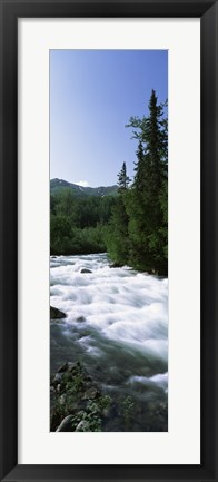 Framed River flowing through a forest, Little Susitna River, Hatcher Pass, Talkeetna Mountains, Alaska, USA Print