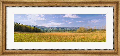 Framed Field with a mountain range in the background, Cades Cove, Great Smoky Mountains National Park, Blount County, Tennessee, USA Print