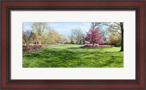 Framed Trees in a Garden, Sherwood Gardens, Baltimore, Maryland Print