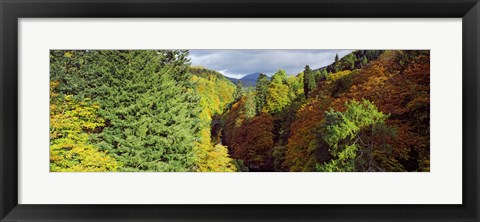 Framed Canyon at Killiecrankie, River Garry, Pitlochry, Perth And Kinross, Scotland Print