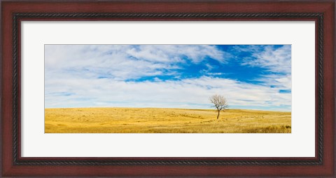 Framed Lone Hackberry tree in autumn plains, South Dakota Print
