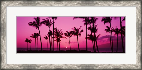 Framed Silhouette of palm trees at dusk, Hawaii, USA Print