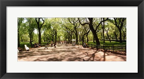 Framed Central Park, New York City, New York State Print