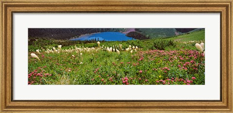Framed Beargrass with Grinnell Lake in the background, Montana Print