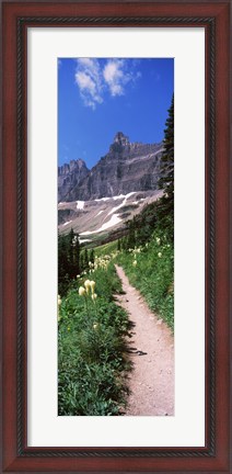 Framed Hiking trail at US Glacier National Park, Montana, USA Print