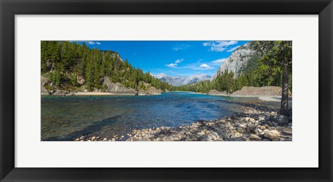 Framed River passing through a forest, Bow River, Banff National Park, Alberta, Canada Print